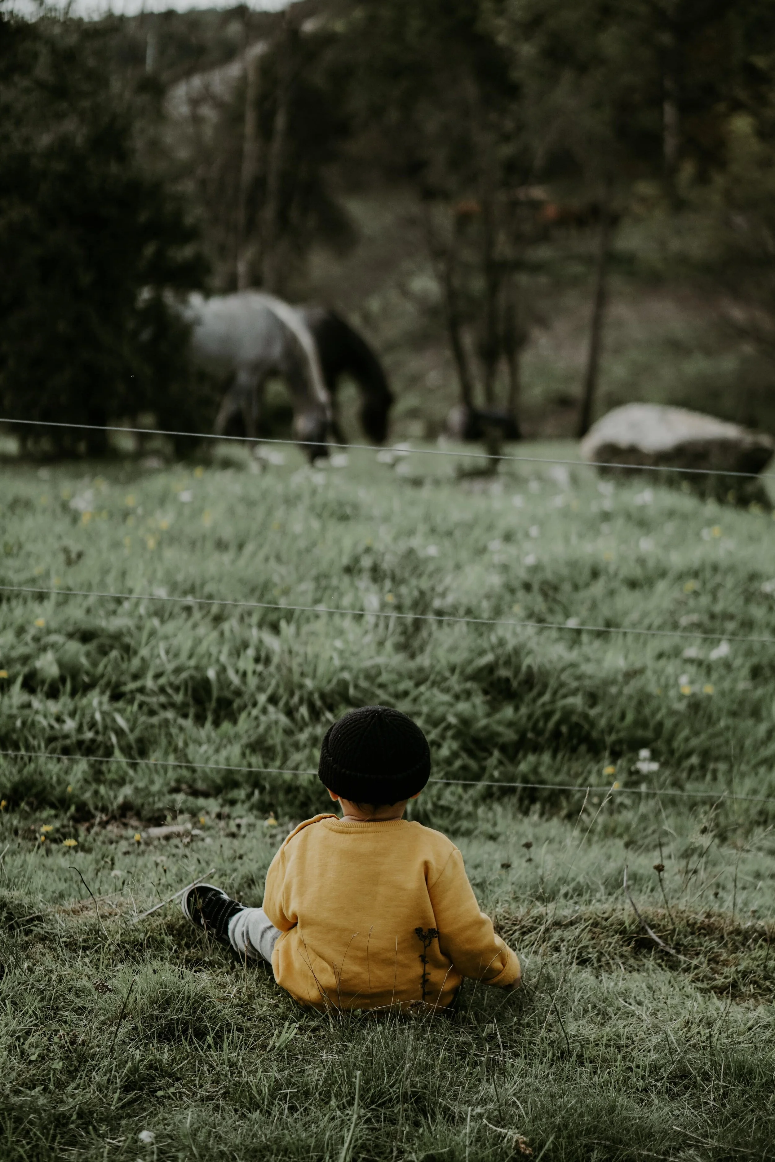 Three reasons why your child isn t walking yet. Dr. Carrie Rigoni Chiropractor Perth